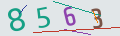 verifycode